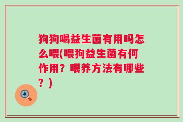 狗狗喝益生菌有用吗怎么喂(喂狗益生菌有何作用？喂养方法有哪些？)
