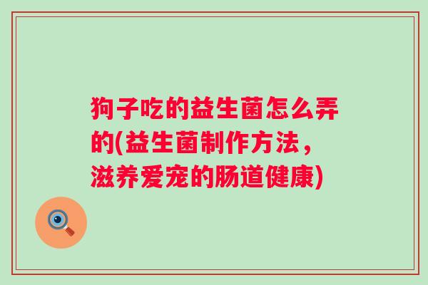 狗子吃的益生菌怎么弄的(益生菌制作方法，滋养爱宠的肠道健康)