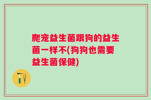 爬宠益生菌跟狗的益生菌一样不(狗狗也需要益生菌保健) 爬宠益生菌跟狗的益生菌一样不(狗狗也需要益生菌保健)