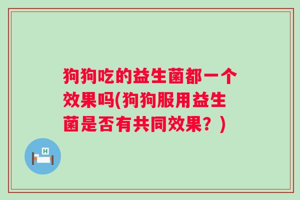 狗狗吃的益生菌都一个效果吗(狗狗服用益生菌是否有共同效果？)