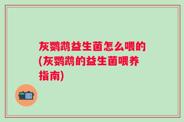 灰鹦鹉益生菌怎么喂的(灰鹦鹉的益生菌喂养指南)