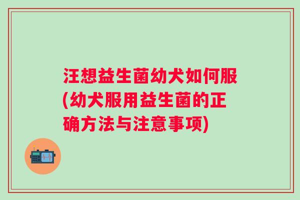 汪想益生菌幼犬如何服(幼犬服用益生菌的正确方法与注意事项)