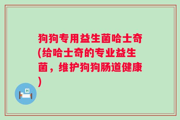 狗狗专用益生菌哈士奇(给哈士奇的专业益生菌，维护狗狗肠道健康)