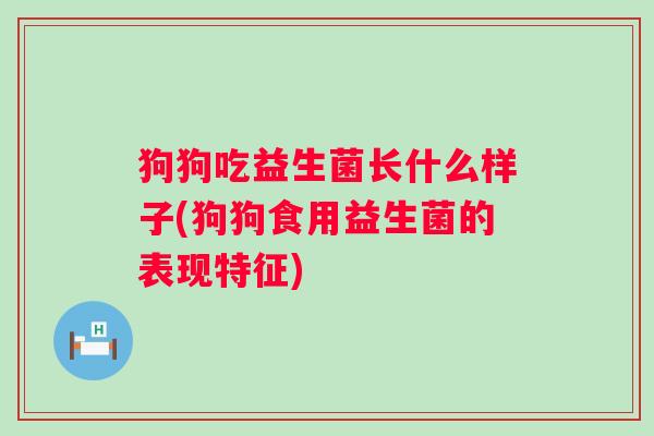 狗狗吃益生菌长什么样子(狗狗食用益生菌的表现特征) 狗狗吃益生菌长什么样子(狗狗食用益生菌的表现特征)