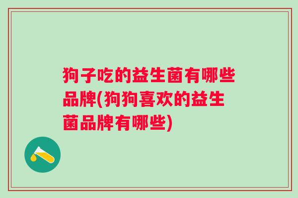 狗子吃的益生菌有哪些品牌(狗狗喜欢的益生菌品牌有哪些)