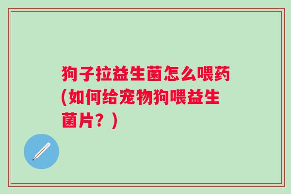 狗子拉益生菌怎么喂药(如何给宠物狗喂益生菌片?) 狗子拉益生菌怎么喂药(如何给宠物狗喂益生菌片?)