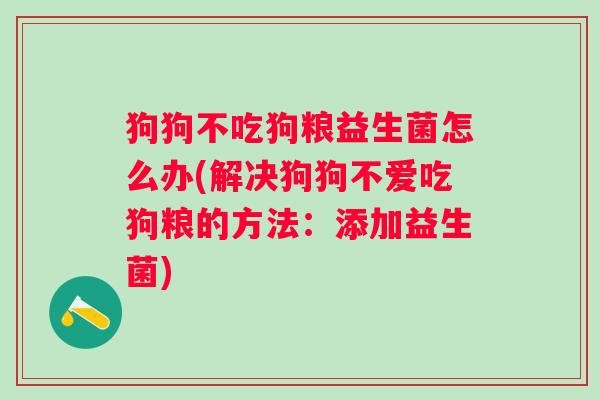 狗狗不吃狗粮益生菌怎么办(解决狗狗不爱吃狗粮的方法:添加益生菌) 狗狗不吃狗粮益生菌怎么办(解决狗狗不爱吃狗粮的方法:添加益生菌)