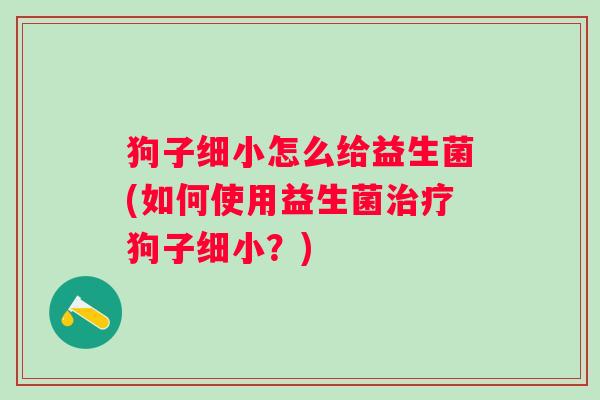 狗子细小怎么给益生菌(如何使用益生菌狗子细小？)