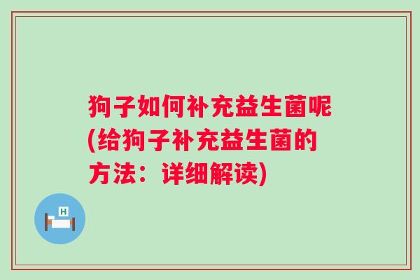 狗子如何补充益生菌呢(给狗子补充益生菌的方法：详细解读)