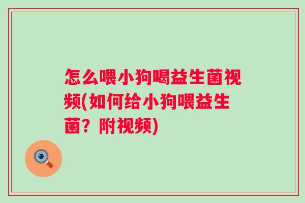 怎么喂小狗喝益生菌视频(如何给小狗喂益生菌?附视频) 怎么喂小狗喝益生菌视频(如何给小狗喂益生菌?附视频)