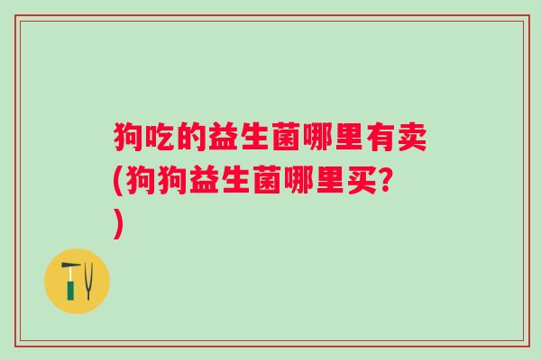 狗吃的益生菌哪里有卖(狗狗益生菌哪里买?) 狗吃的益生菌哪里有卖(狗狗益生菌哪里买?)