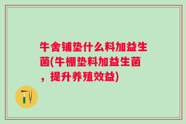 牛舍铺垫什么料加益生菌(牛棚垫料加益生菌,提升养殖效益) 牛舍铺垫什么料加益生菌(牛棚垫料加益生菌,提升养殖效益)