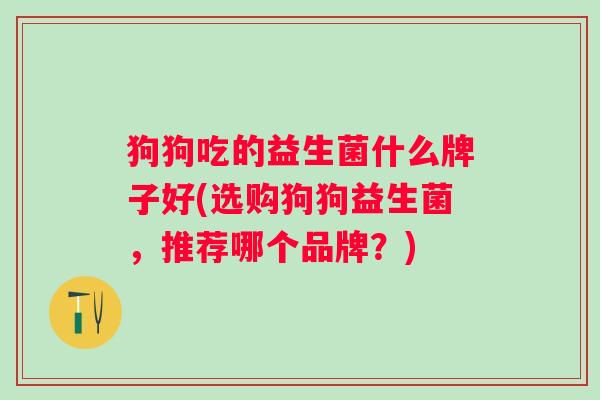 狗狗吃的益生菌什么牌子好(选购狗狗益生菌，推荐哪个品牌？)