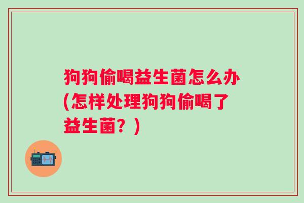 狗狗偷喝益生菌怎么办(怎样处理狗狗偷喝了益生菌？)