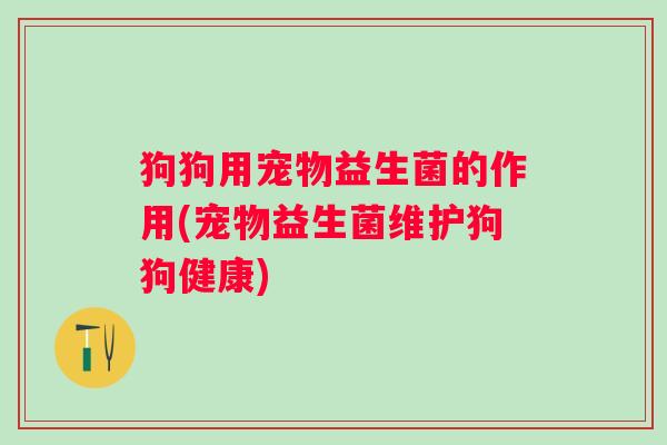 狗狗用宠物益生菌的作用(宠物益生菌维护狗狗健康)