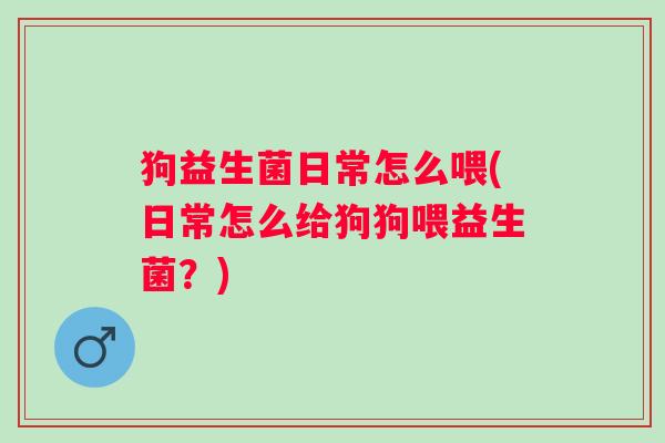 狗益生菌日常怎么喂(日常怎么给狗狗喂益生菌？)