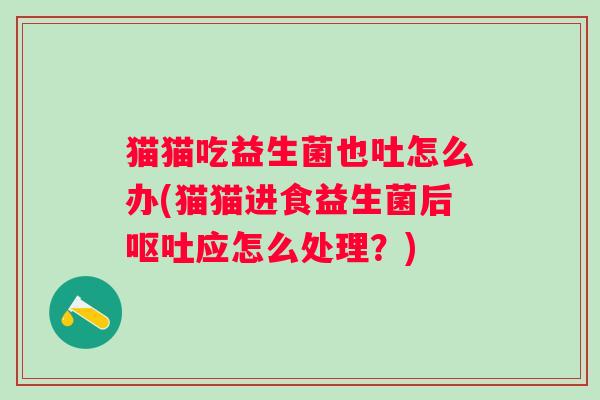 猫猫吃益生菌也吐怎么办(猫猫进食益生菌后应怎么处理？)