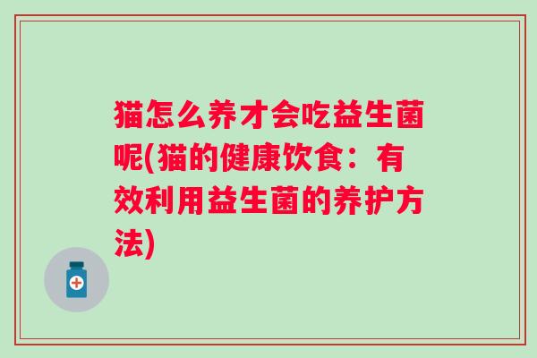 猫怎么养才会吃益生菌呢(猫的健康饮食：有效利用益生菌的养护方法)