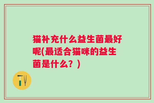 猫补充什么益生菌好呢(适合猫咪的益生菌是什么?) 猫补充什么益生菌好呢(适合猫咪的益生菌是什么?)