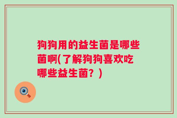 狗狗用的益生菌是哪些菌啊(了解狗狗喜欢吃哪些益生菌?) 狗狗用的益生菌是哪些菌啊(了解狗狗喜欢吃哪些益生菌?)