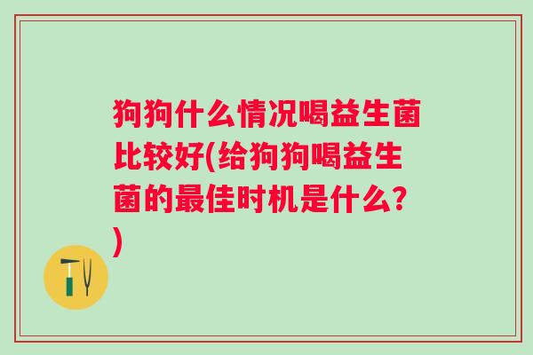狗狗什么情况喝益生菌比较好(给狗狗喝益生菌的佳时机是什么?) 狗狗什么情况喝益生菌比较好(给狗狗喝益生菌的佳时机是什么?)