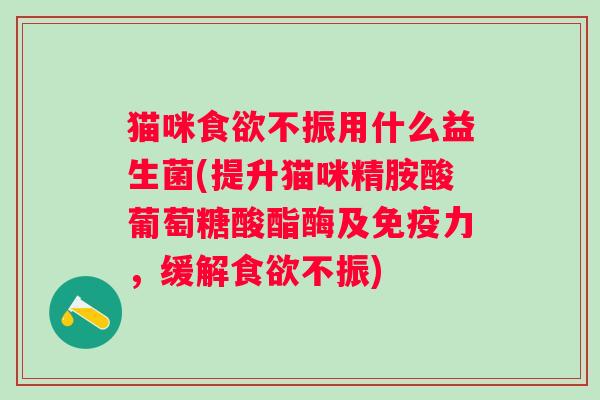 猫咪不振用什么益生菌(提升猫咪精胺酸葡萄糖酸酯酶及力,缓解不振) 猫咪不振用什么益生菌(提升猫咪精胺酸葡萄糖酸酯酶及力,缓解不振)