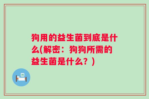 狗用的益生菌到底是什么(解密：狗狗所需的益生菌是什么？)