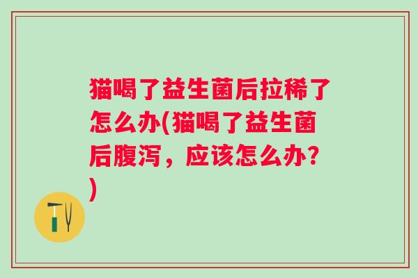 猫喝了益生菌后拉稀了怎么办(猫喝了益生菌后,应该怎么办?) 猫喝了益生菌后拉稀了怎么办(猫喝了益生菌后,应该怎么办?)
