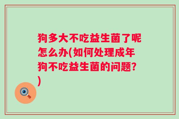 狗多大不吃益生菌了呢怎么办(如何处理成年狗不吃益生菌的问题?) 狗多大不吃益生菌了呢怎么办(如何处理成年狗不吃益生菌的问题?)