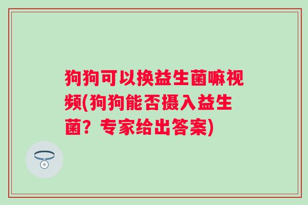狗狗可以换益生菌嘛视频(狗狗能否摄入益生菌？专家给出答案)