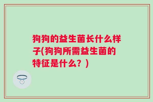 狗狗的益生菌长什么样子(狗狗所需益生菌的特征是什么？)