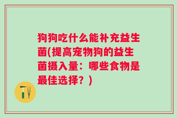 狗狗吃什么能补充益生菌(提高宠物狗的益生菌摄入量：哪些食物是佳选择？)