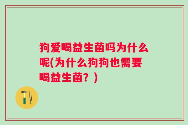 狗爱喝益生菌吗为什么呢(为什么狗狗也需要喝益生菌？)