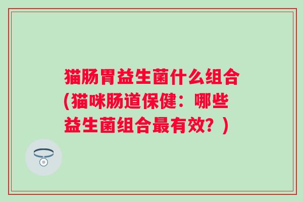 猫肠胃益生菌什么组合(猫咪肠道保健:哪些益生菌组合有效?) 猫肠胃益生菌什么组合(猫咪肠道保健:哪些益生菌组合有效?)