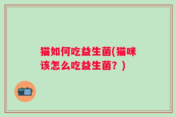 猫如何吃益生菌(猫咪该怎么吃益生菌?) 猫如何吃益生菌(猫咪该怎么吃益生菌?)
