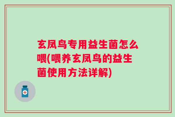 玄凤鸟专用益生菌怎么喂(喂养玄凤鸟的益生菌使用方法详解)
