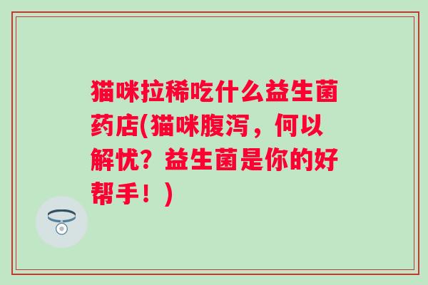 猫咪拉稀吃什么益生菌药店(猫咪，何以解忧？益生菌是你的好帮手！)