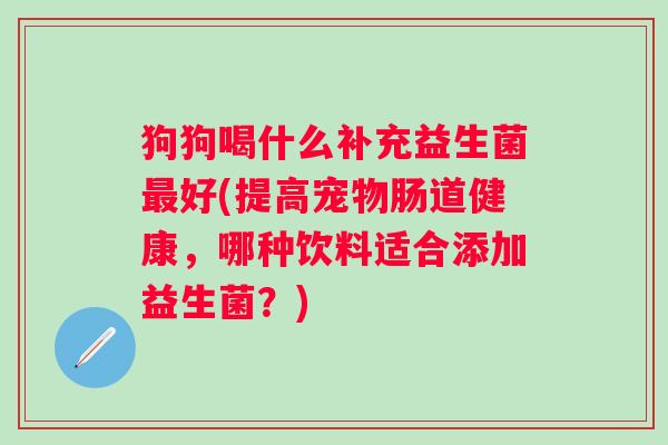 狗狗喝什么补充益生菌好(提高宠物肠道健康,哪种饮料适合添加益生菌?) 狗狗喝什么补充益生菌好(提高宠物肠道健康,哪种饮料适合添加益生菌?)