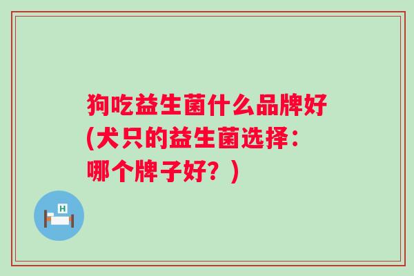 狗吃益生菌什么品牌好(犬只的益生菌选择：哪个牌子好？)
