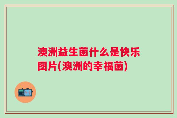 澳洲益生菌什么是快乐图片(澳洲的幸福菌)