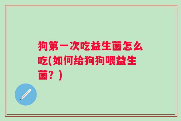 狗第一次吃益生菌怎么吃(如何给狗狗喂益生菌？)