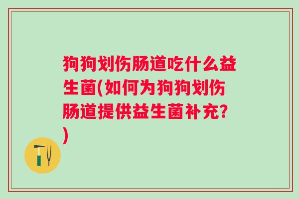狗狗划伤肠道吃什么益生菌(如何为狗狗划伤肠道提供益生菌补充?) 狗狗划伤肠道吃什么益生菌(如何为狗狗划伤肠道提供益生菌补充?)