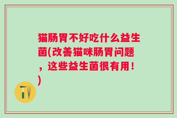猫肠胃不好吃什么益生菌(改善猫咪肠胃问题,这些益生菌很有用!) 猫肠胃不好吃什么益生菌(改善猫咪肠胃问题,这些益生菌很有用!)