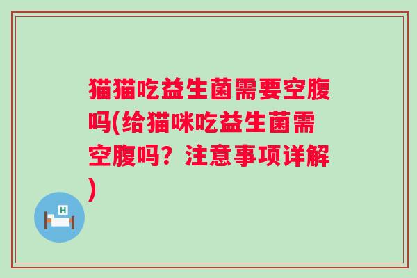猫猫吃益生菌需要空腹吗(给猫咪吃益生菌需空腹吗?注意事项详解) 猫猫吃益生菌需要空腹吗(给猫咪吃益生菌需空腹吗?注意事项详解)