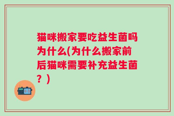 猫咪搬家要吃益生菌吗为什么(为什么搬家前后猫咪需要补充益生菌?) 猫咪搬家要吃益生菌吗为什么(为什么搬家前后猫咪需要补充益生菌?)