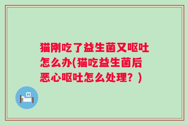 猫刚吃了益生菌又怎么办(猫吃益生菌后恶心怎么处理?) 猫刚吃了益生菌又怎么办(猫吃益生菌后恶心怎么处理?)