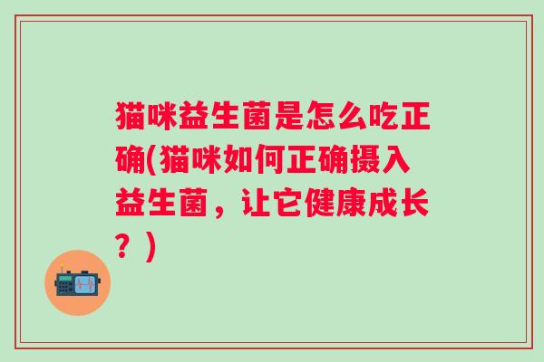 猫咪益生菌是怎么吃正确(猫咪如何正确摄入益生菌，让它健康成长？)