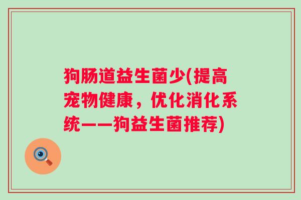 狗肠道益生菌少(提高宠物健康，优化消化系统——狗益生菌推荐)