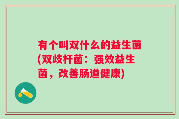 有个叫双什么的益生菌(双歧杆菌：强效益生菌，改善肠道健康)