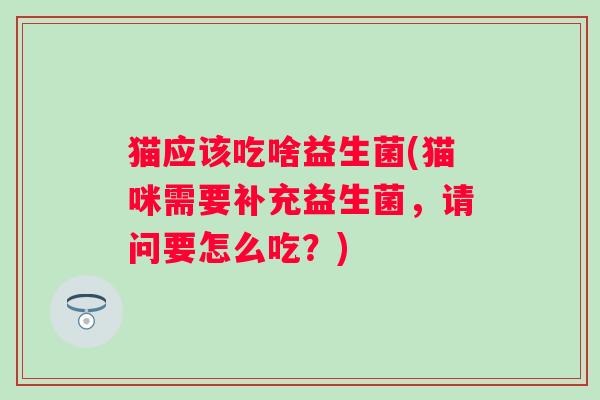 猫应该吃啥益生菌(猫咪需要补充益生菌，请问要怎么吃？)